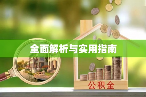 单县全面解析与实用指南