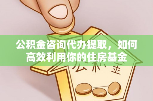 单县公积金咨询代办提取，如何高效利用你的住房基金