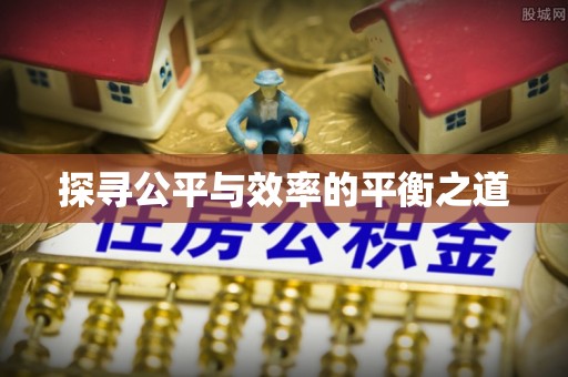 单县探寻公平与效率的平衡之道