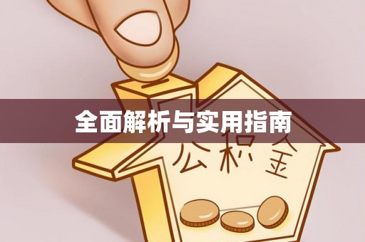 单县全面解析与实用指南